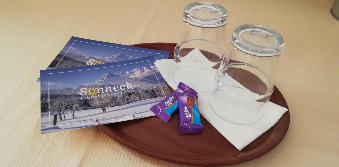 Sonneck Pension Пфаррверфен Экстерьер фото