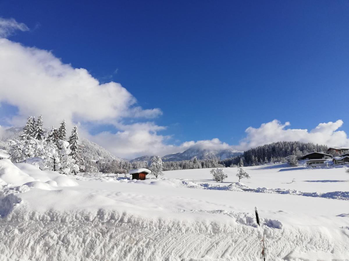 Sonneck Pension Пфаррверфен Экстерьер фото