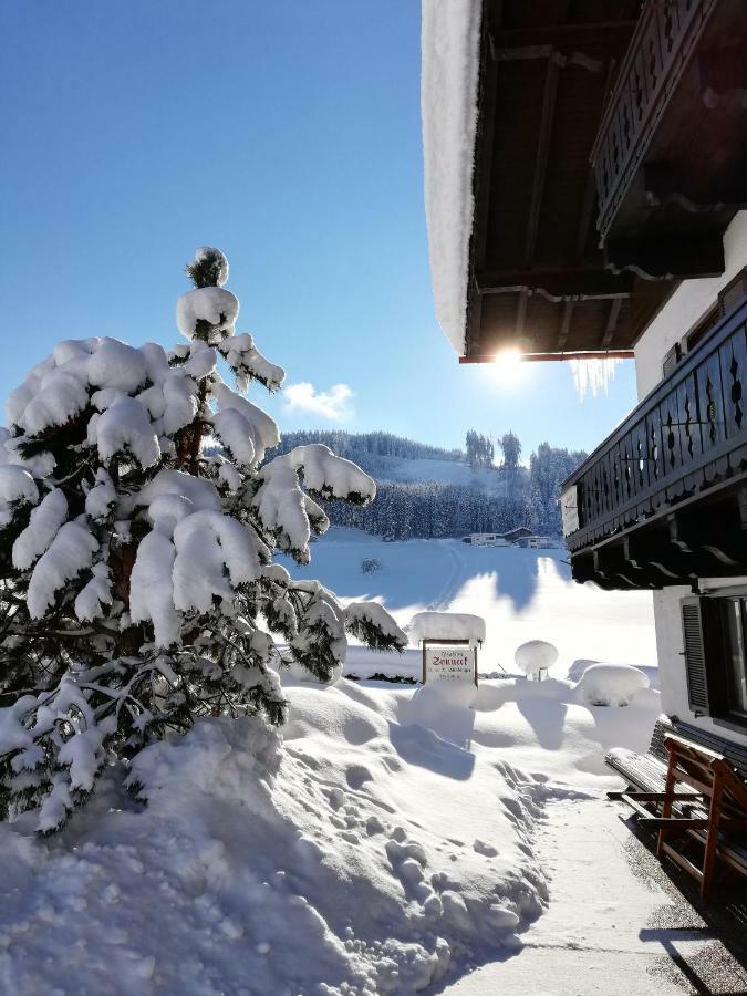 Sonneck Pension Пфаррверфен Экстерьер фото